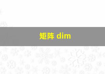 矩阵 dim